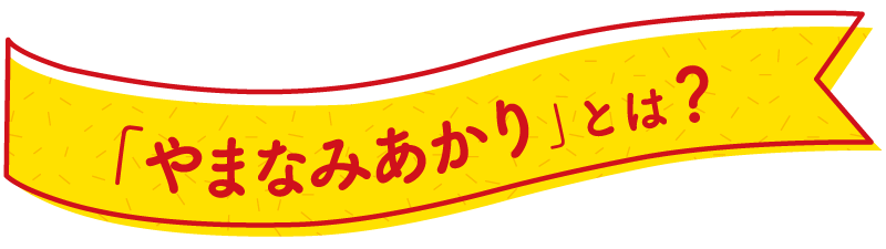 「やまなみあかり」とは？